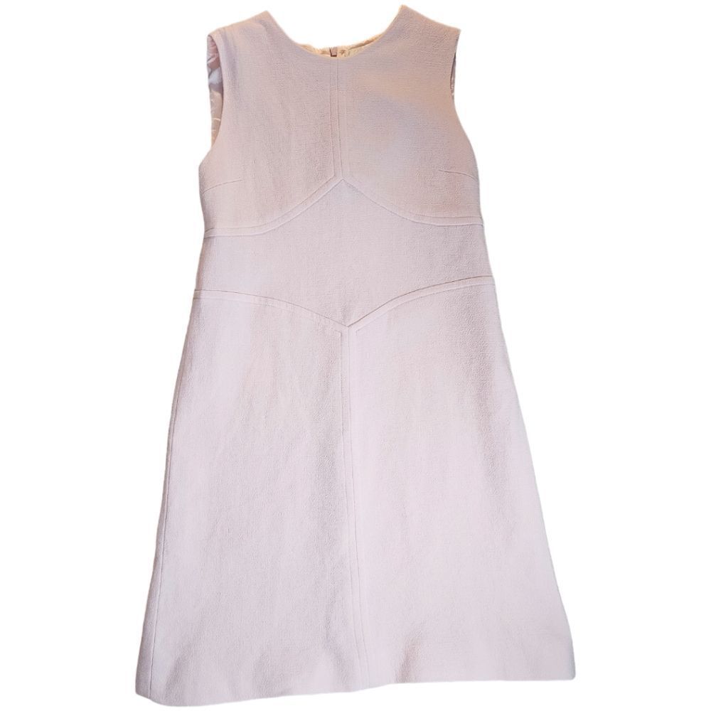 ✨ GOAT Sleeveless A-Line Dress | Wool | Minimalist Elegant | Size 12 - Picture 2 of 12